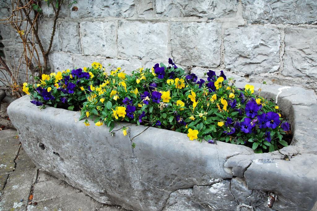 B&B La Buissonniere Xhoris Dış mekan fotoğraf