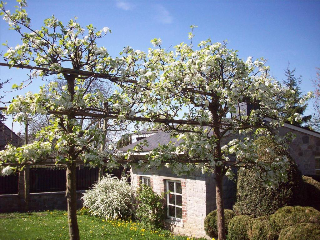 B&B La Buissonniere Xhoris Oda fotoğraf