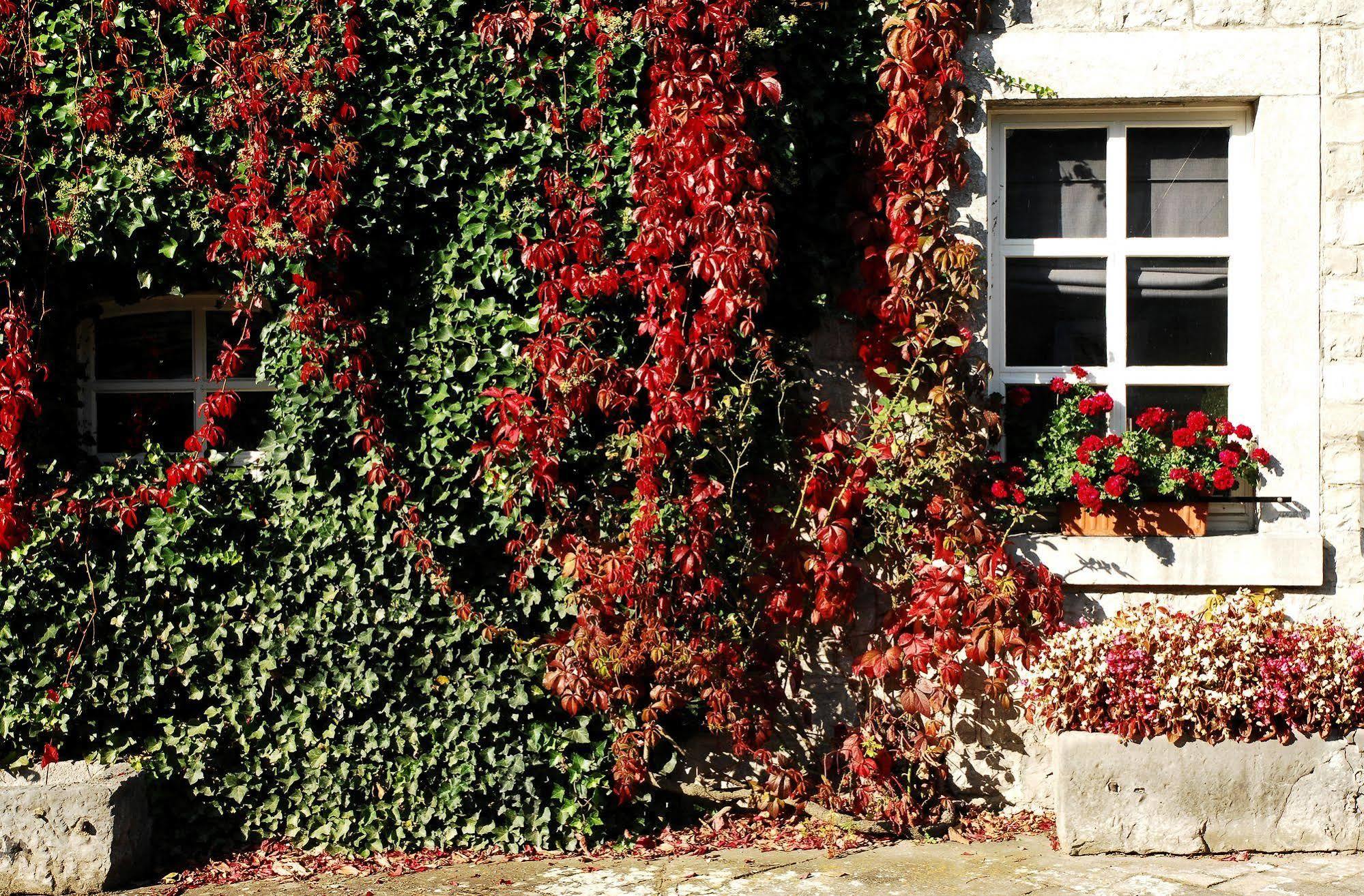 B&B La Buissonniere Xhoris Dış mekan fotoğraf
