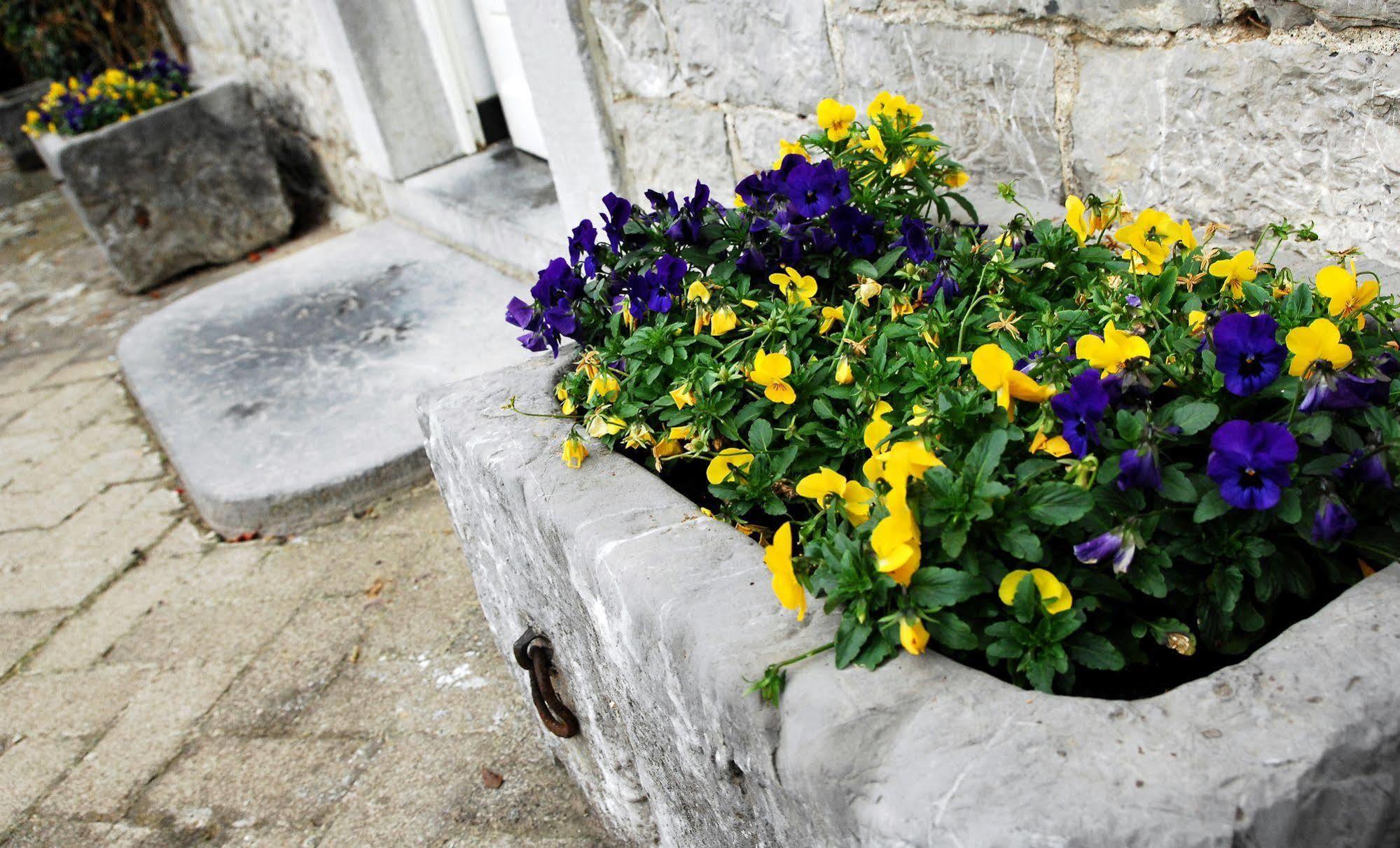 B&B La Buissonniere Xhoris Dış mekan fotoğraf
